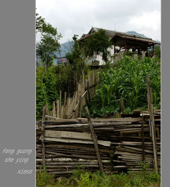 DSC01267a.jpg