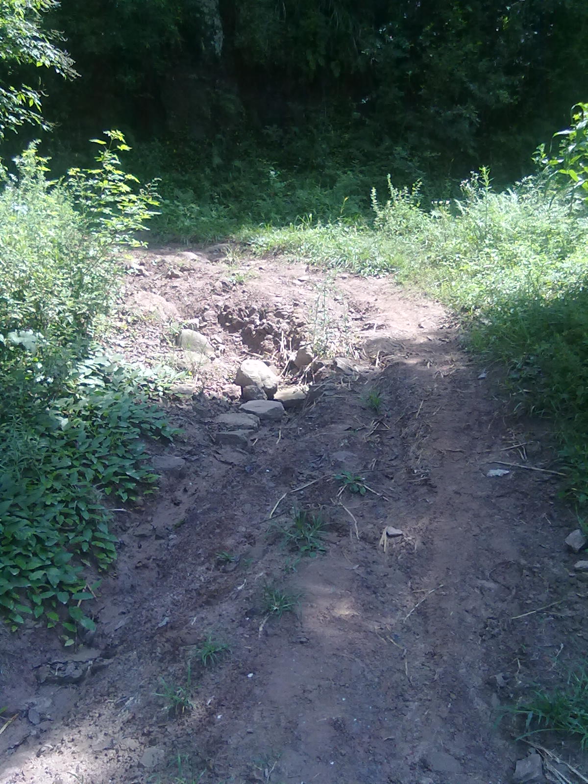 20110806410.jpg