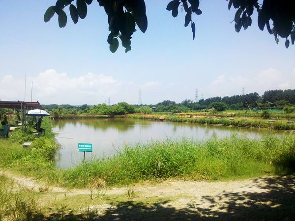  2011-08-13_11-51-40_799.jpg