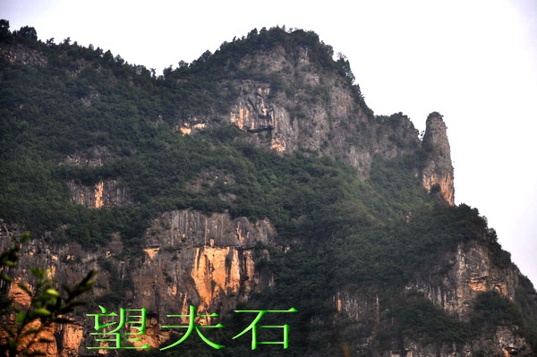DSC_0471_С.jpg