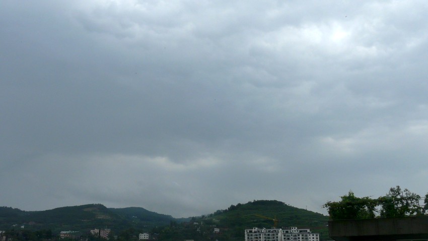 P1040021_conew1.jpg