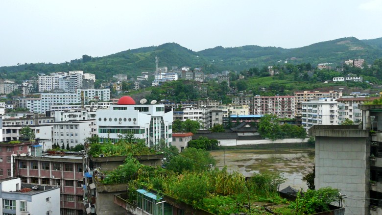 P1040023_conew1.jpg