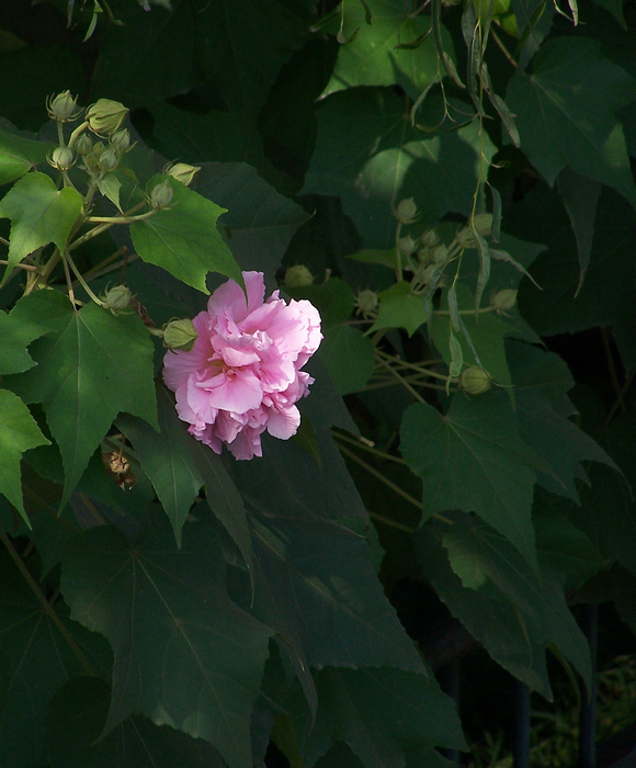 100_9897.jpg