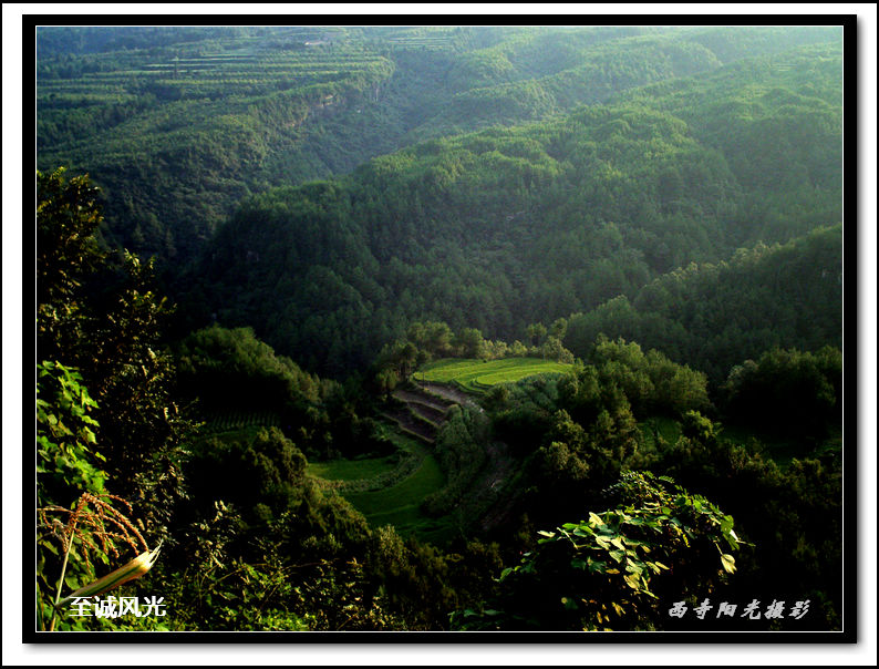 PICT0264.JPG