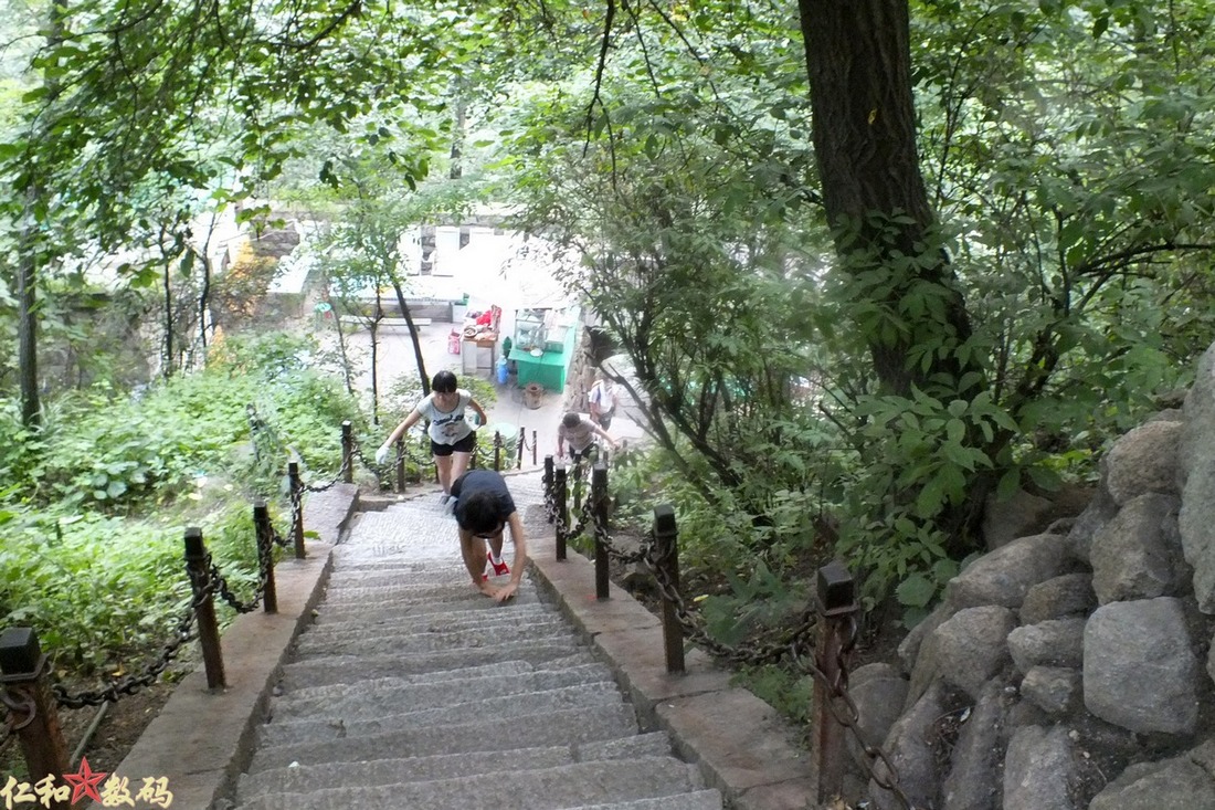 DSCF5210 .jpg