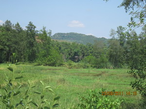 Ƭ 006.jpg