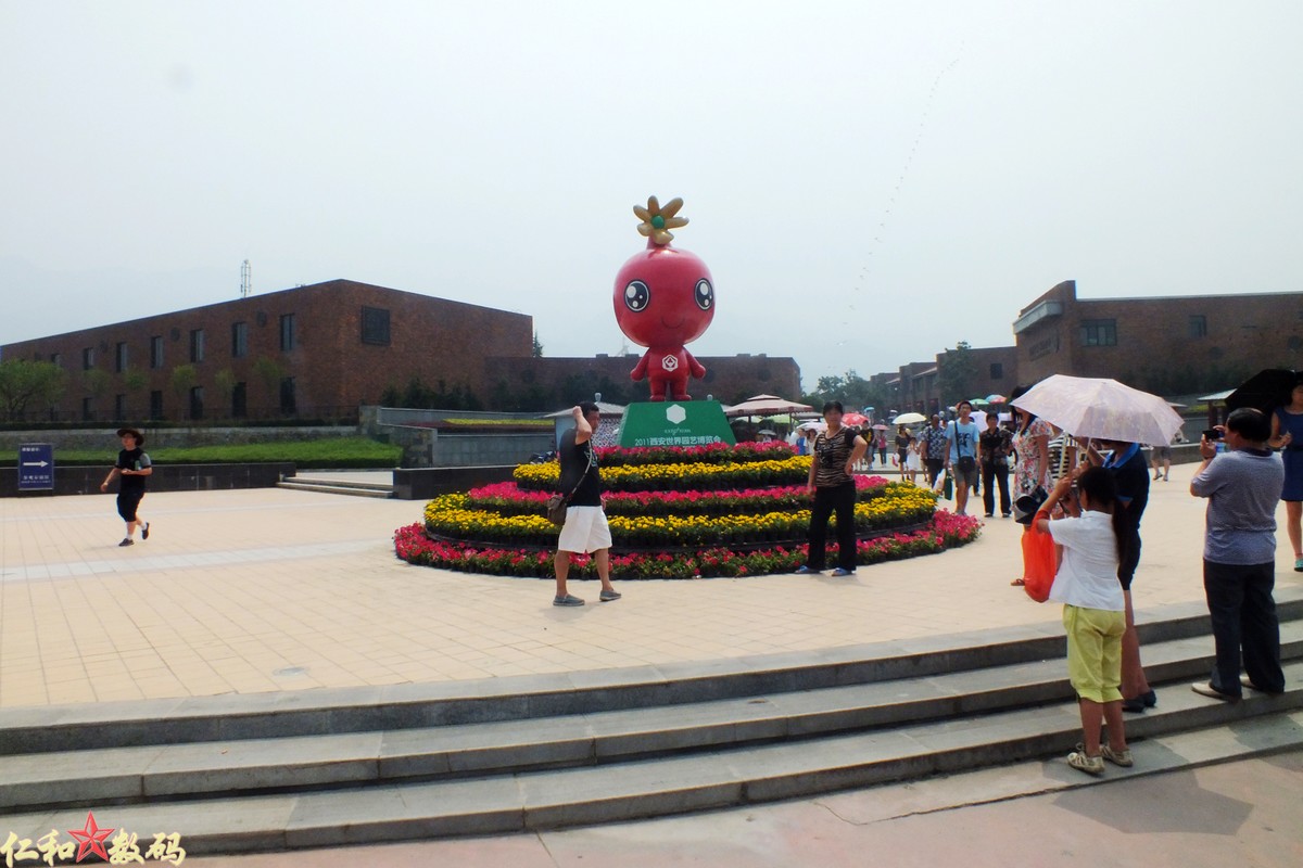 DSCF5487 .jpg