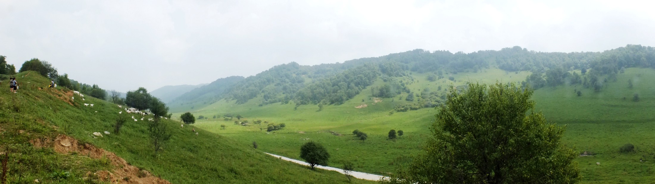 DSCF5533 .jpg