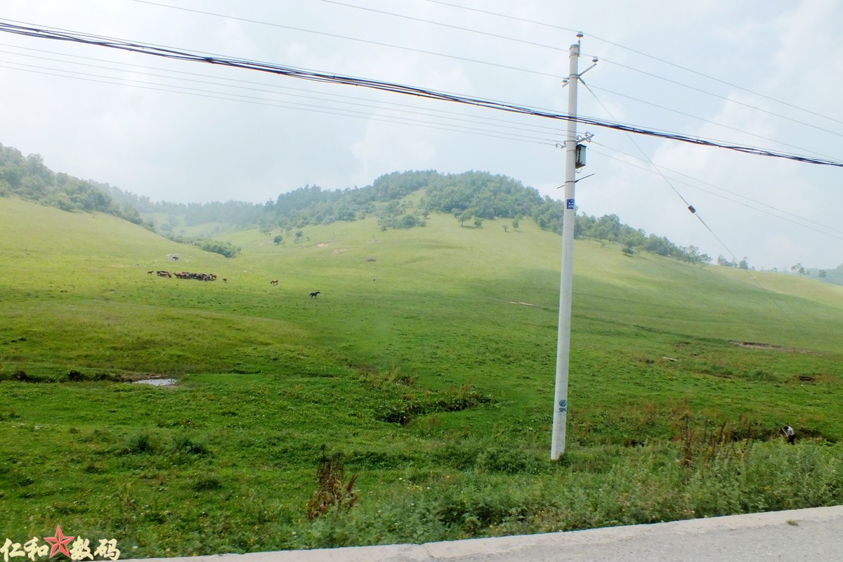 DSCF5536 .jpg