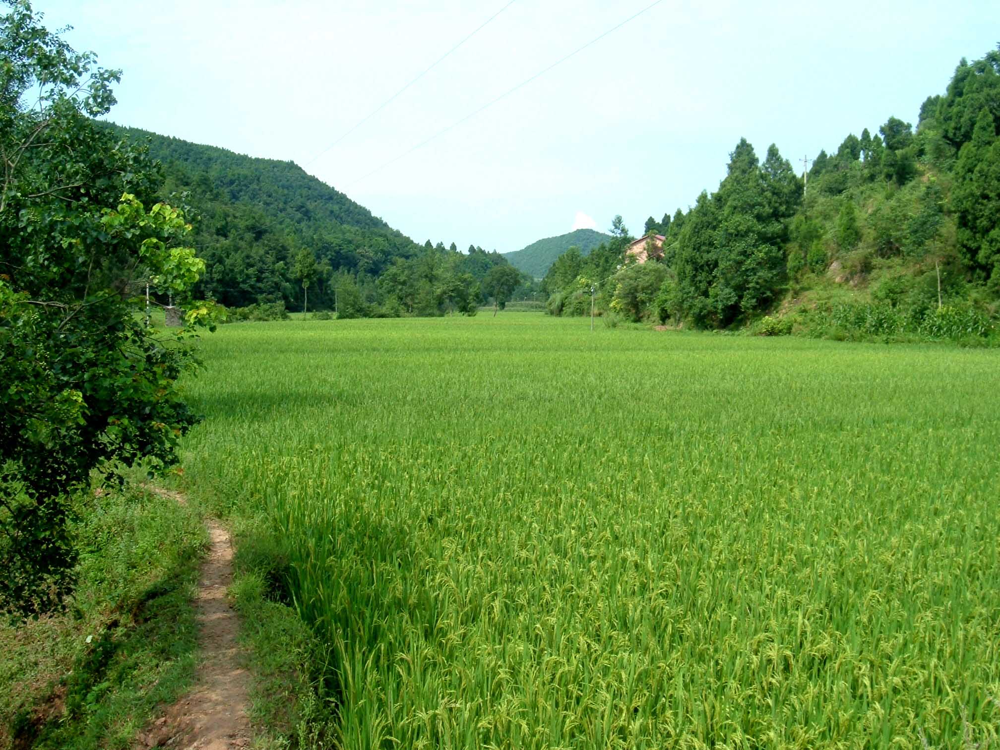 DSCF3027.jpg