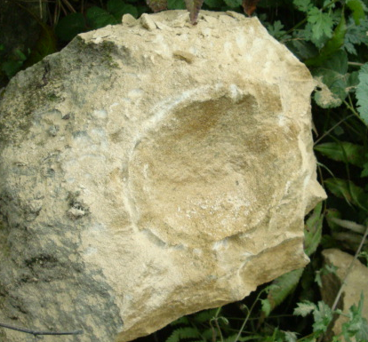 10.bmp