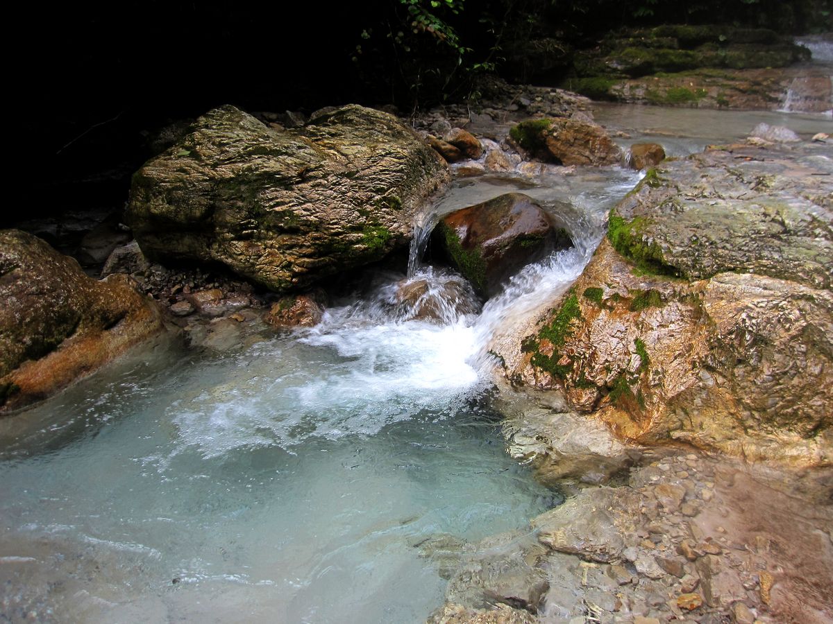 IMG_9880.jpg
