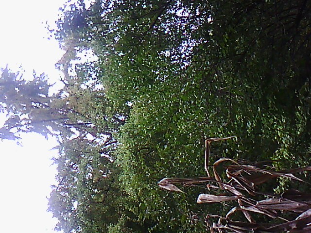 IMG00034.jpg