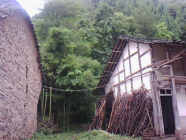 IMG00064.jpg