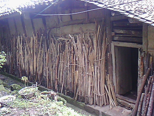 IMG00082.jpg