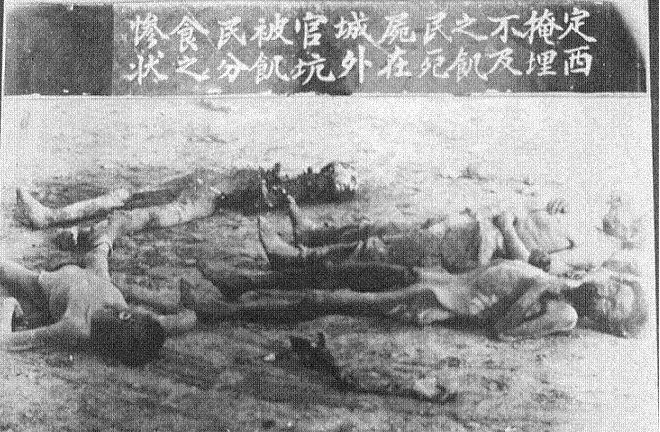 69 盐都杂谈 69 中华民国累计饿死人12亿以上[图] 王大爷来了