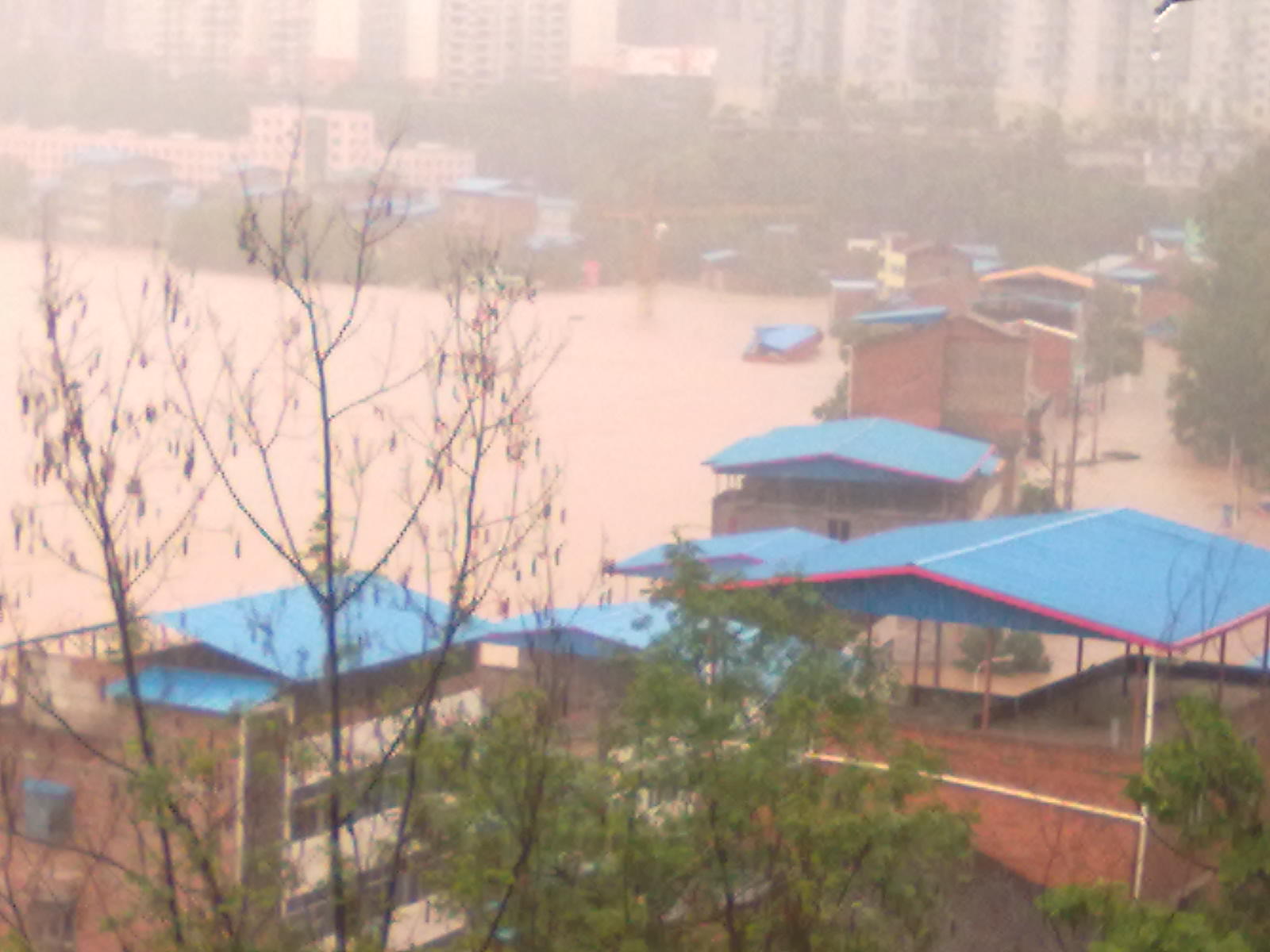 20110918163.jpg