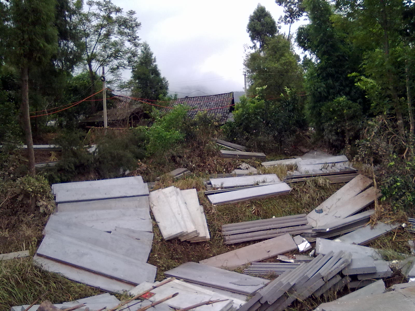 20110919168.jpg