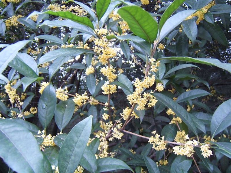 DSCF3902.JPG