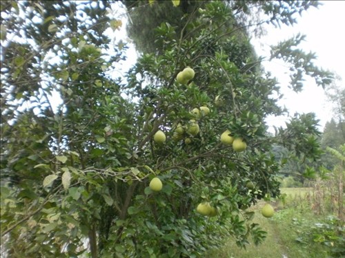 P1061100.JPG