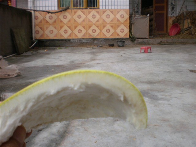 P1061121.JPG