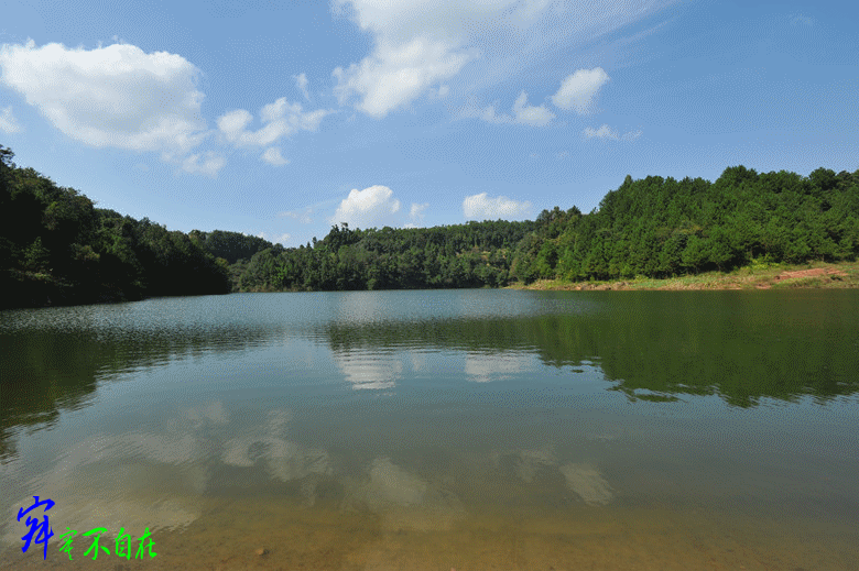 DSC_0450__.gif