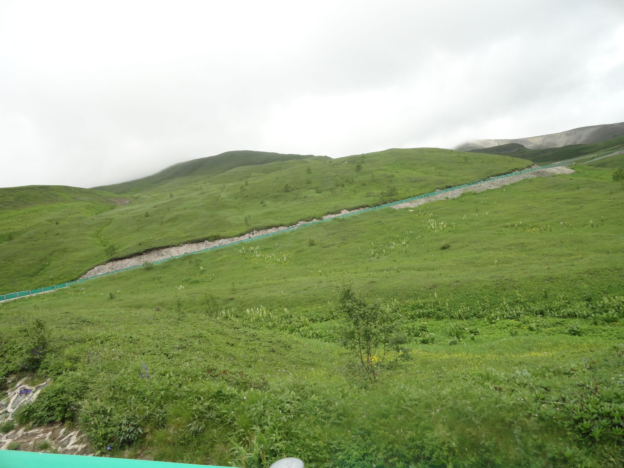 DSC01361.jpg