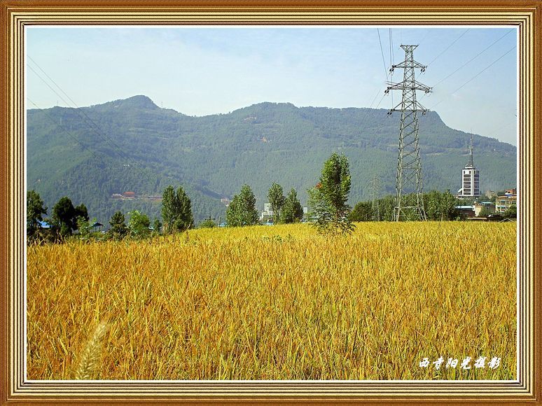 PICT0781.JPG