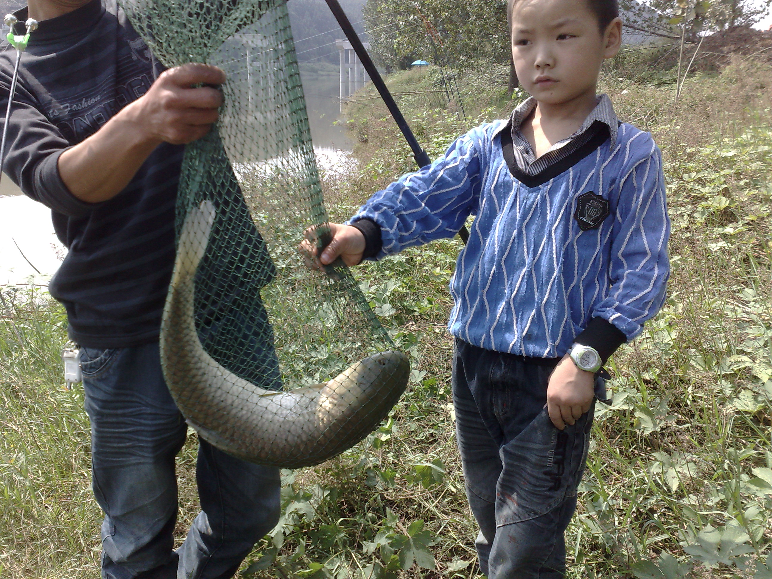 201109241188.jpg