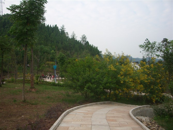 15.jpg