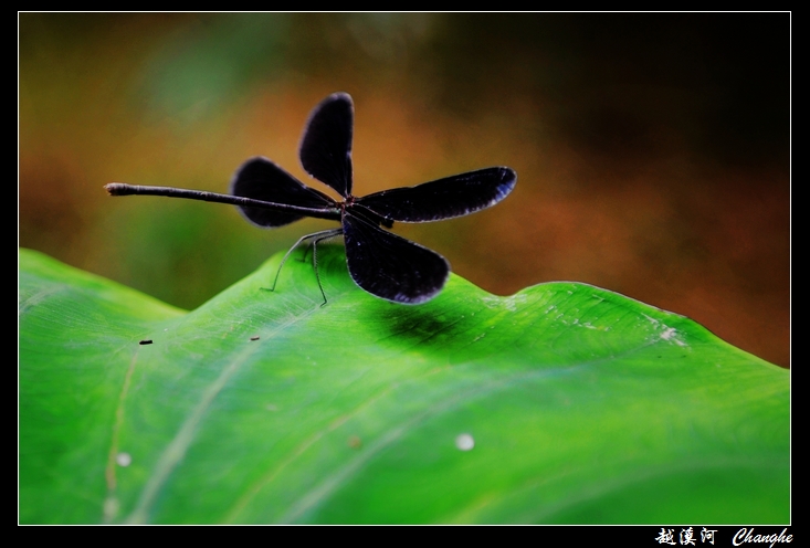 DDDSC_7623.jpg