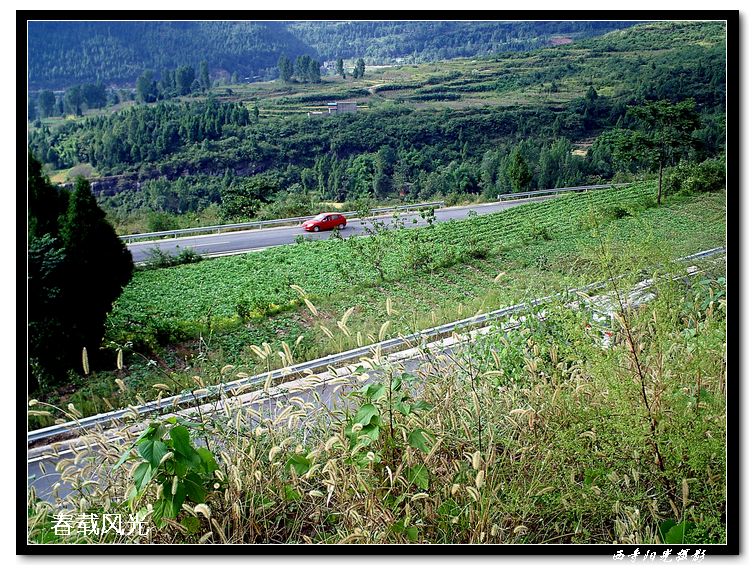 PICT0783.JPG