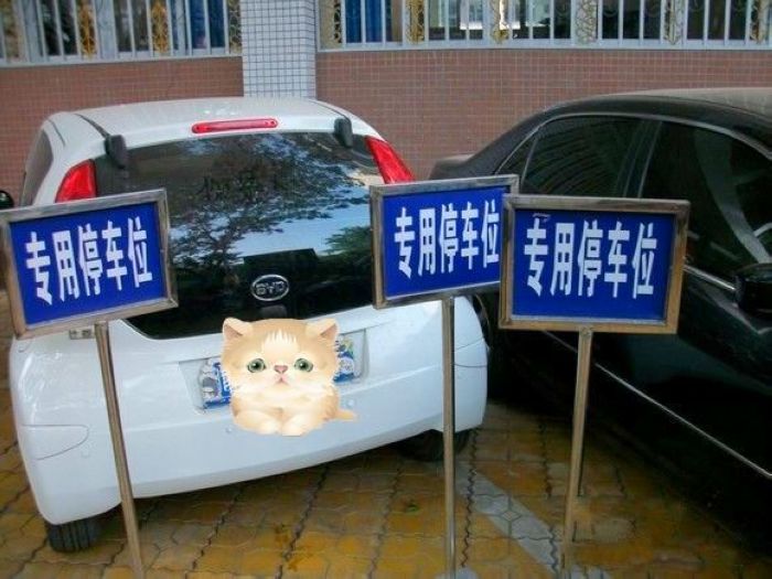 ·.jpg