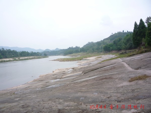 conew_p1110787.jpg