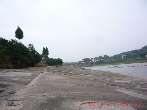 conew_p1110790.jpg