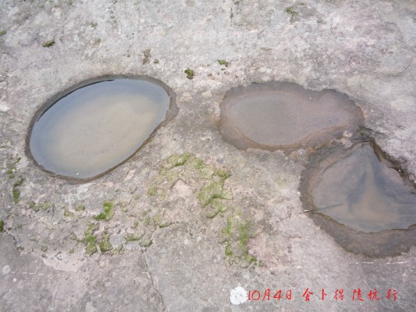 conew_p1110814.jpg
