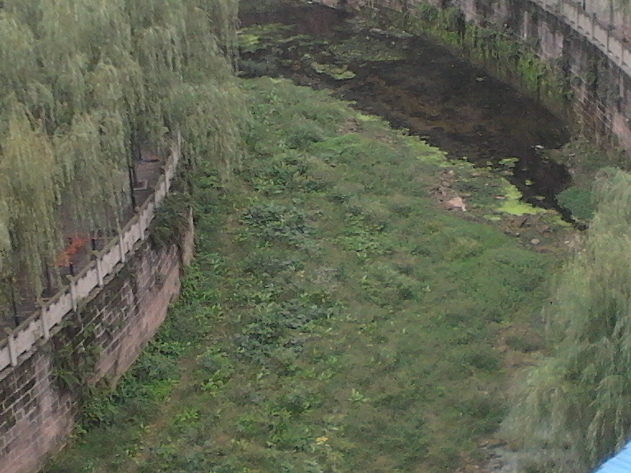 2011-10-06_13-07-37_527.jpg