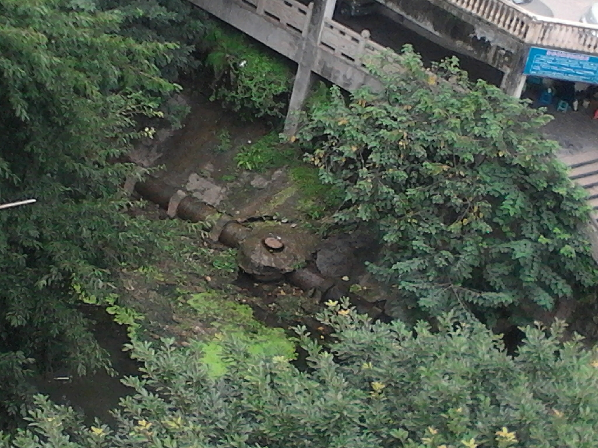 2011-10-06_13-08-34_785.jpg