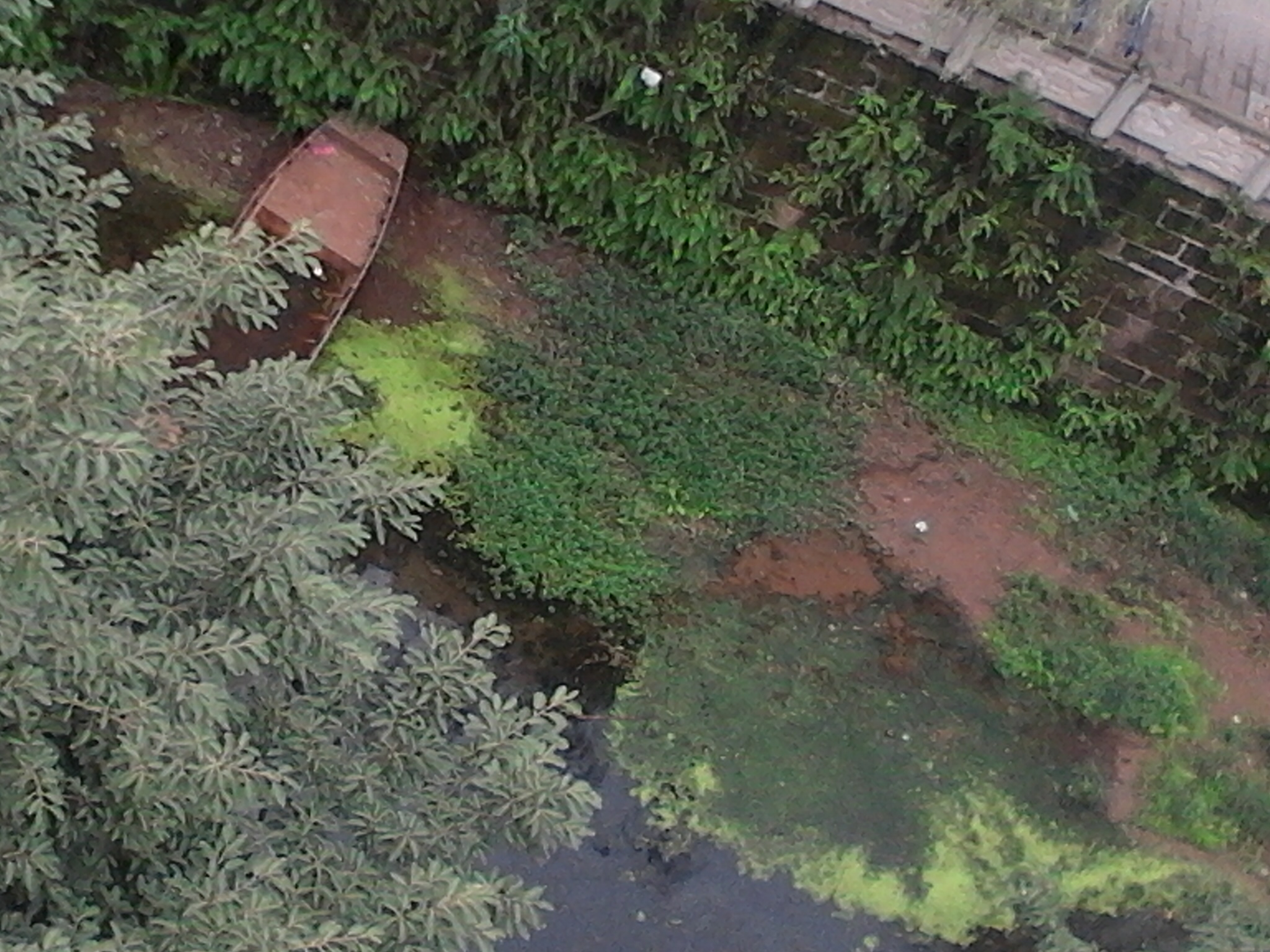 2011-10-06_13-08-10_518.jpg