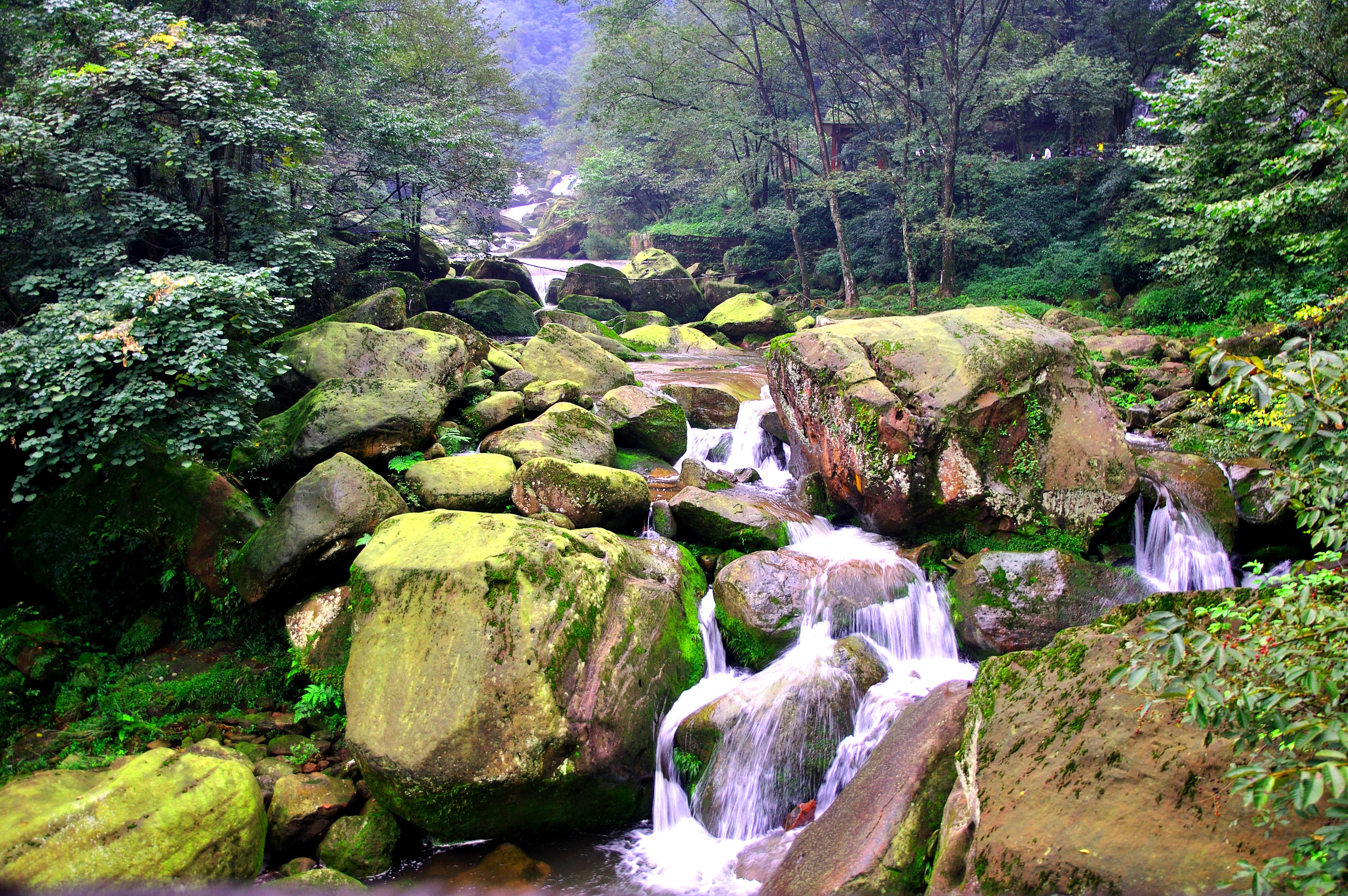 天台山水韻-走遍四川-四川旅遊景區-四川論壇-麻辣社區