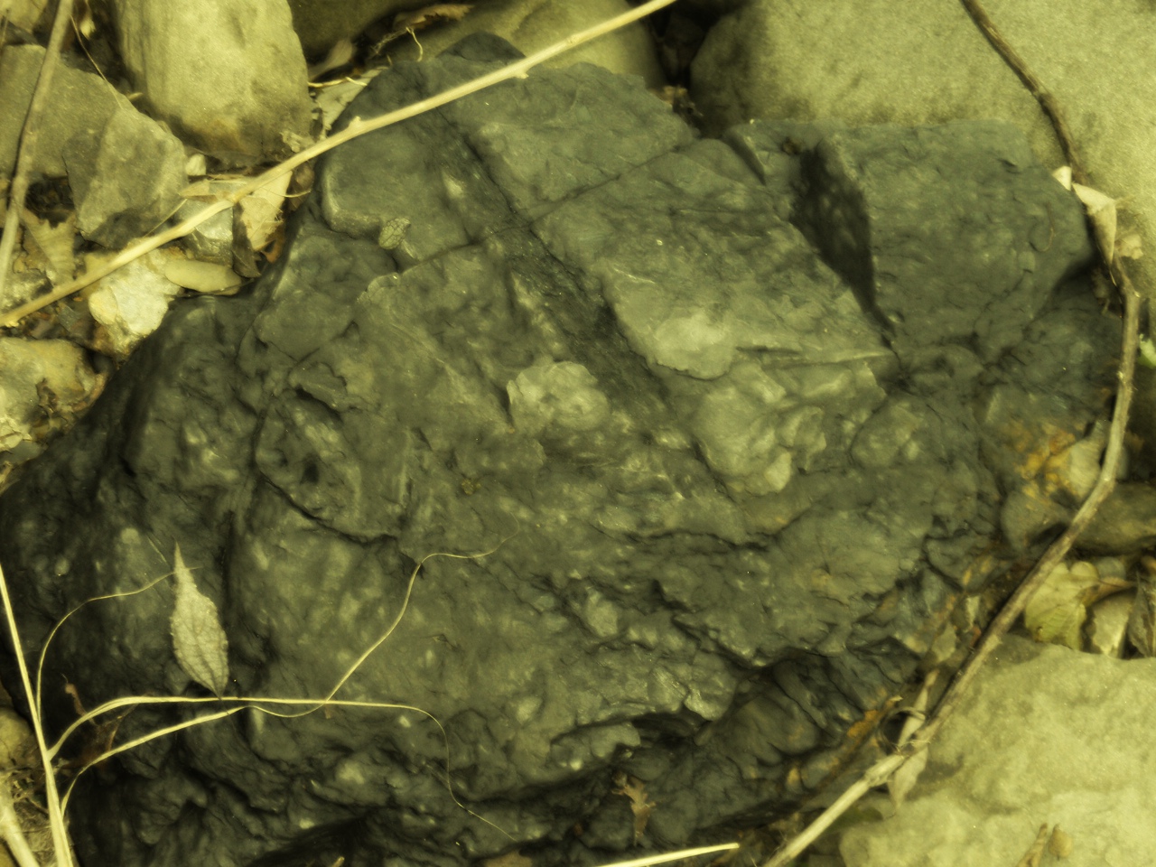 PA050261.JPG