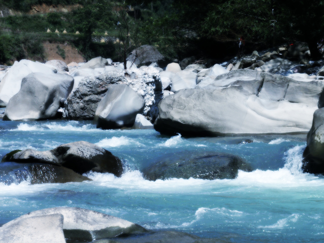 PA050303.JPG
