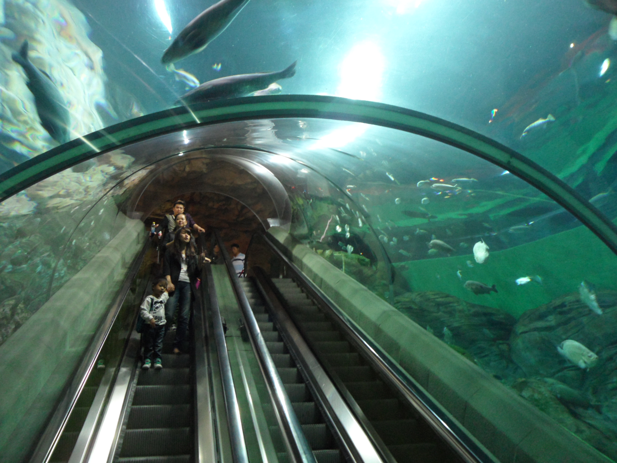 10.7上海海洋水族馆