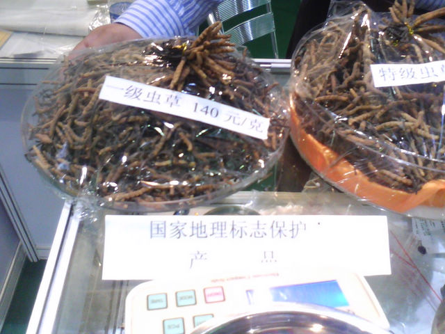 20111008135123.jpg