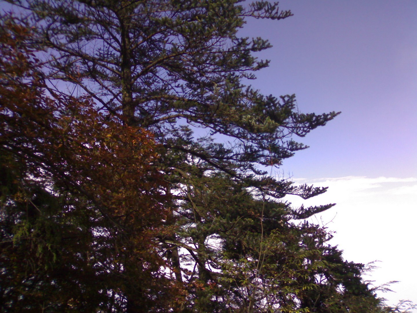 20111005121.jpg