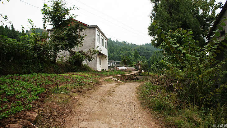 DSC00124.jpg