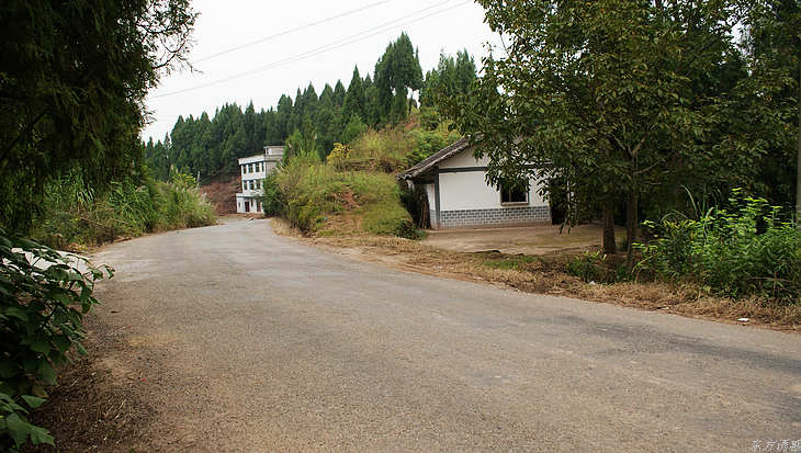 DSC00179.jpg