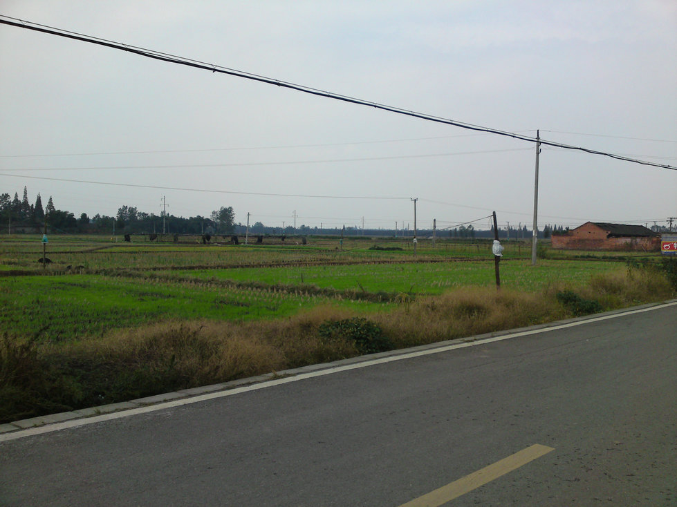 DSC01743.JPG