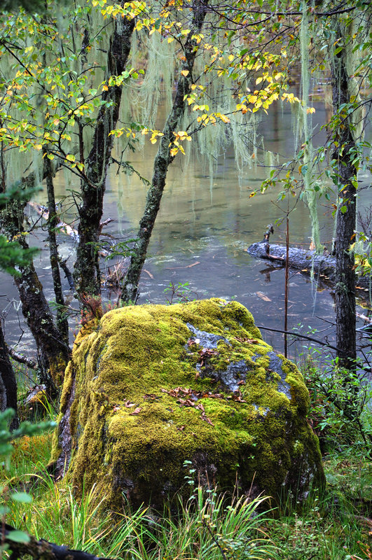 DSC_3195.JPG