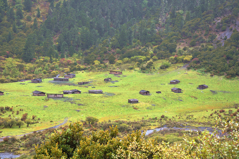DSC_3243.JPG
